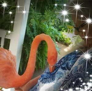 Meet your Posher, Cindy